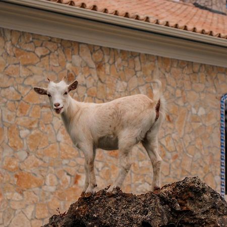 Вилла Quinta Do Bamby Лейрия Экстерьер фото