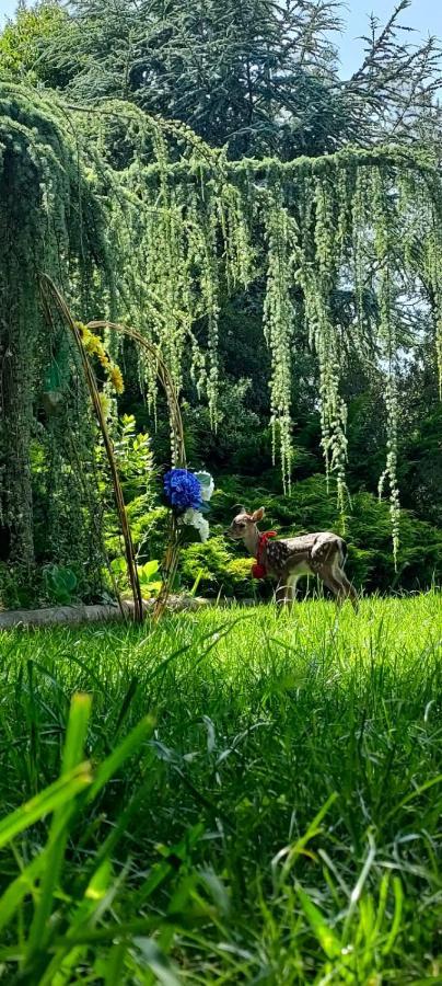 Вилла Quinta Do Bamby Лейрия Экстерьер фото