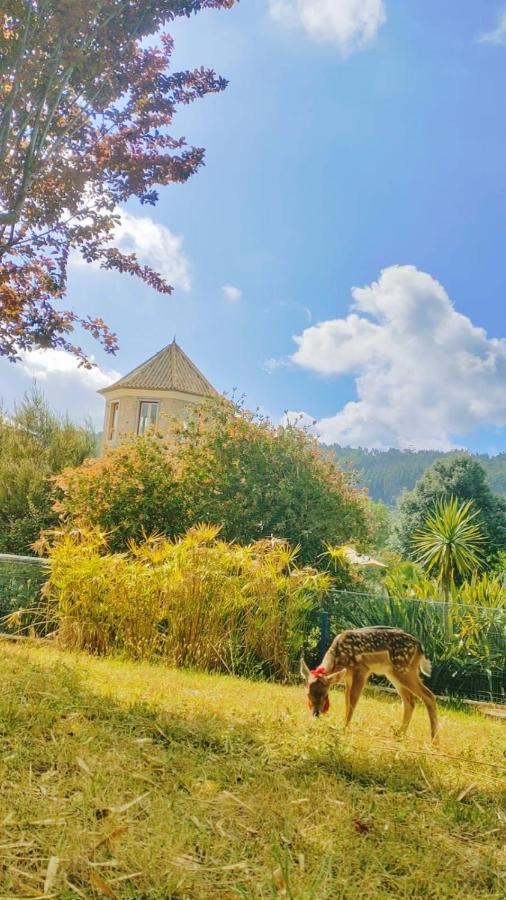 Вилла Quinta Do Bamby Лейрия Экстерьер фото